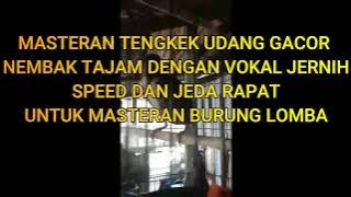 MASTERAN TENGKEK UDANG GACOR NEMBAK PANJANG VOKAL JERNIH SPEED DAN JEDA RAPAT ISIAN BURUNG LOMBA