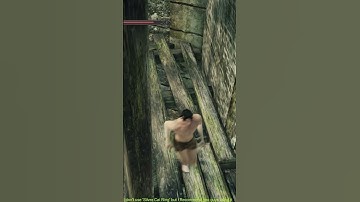 DS2 Sotfs Forest Of Fallen Giants Branch Of Yore jump (No Silvercat Ring)