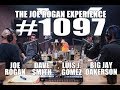 Joe Rogan Experience #1097 - Legion of Skanks
