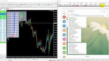 Copy Trades from MT4 to Telegram where one can make a profit of 70% per month