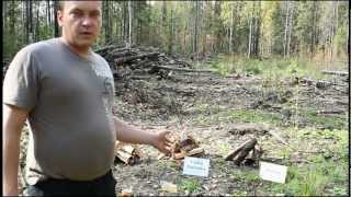 Как разжечь костер сырыми дровами