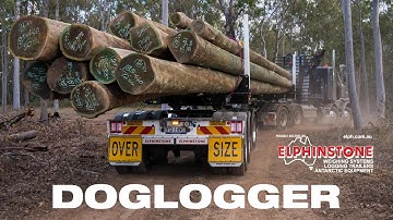 EasySteer DogLogger pole trailer working in Gympie QLD