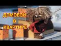ДОМОВОЙ В КВАРТИРЕ.Рассказы, жизненные истории,истории из жизни, интересные истории,душевные истории