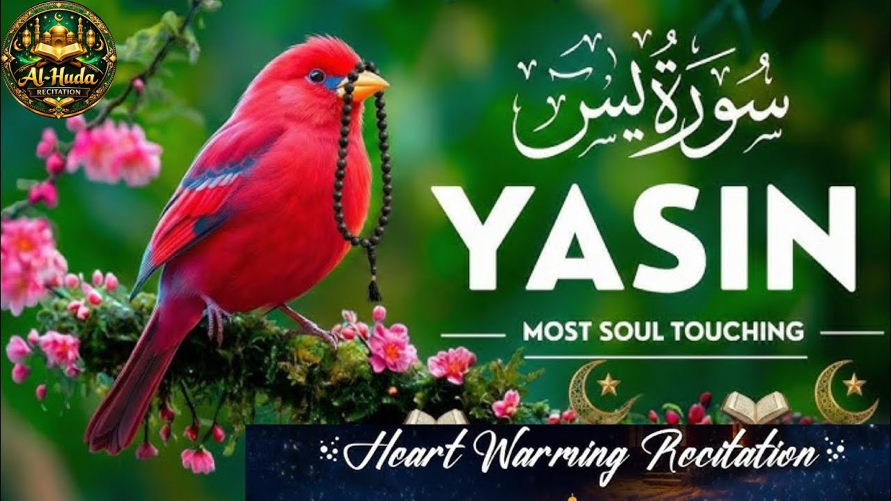 Surah Yaseen Full | Beautiful Quran Recitation | Heart Touching Tilawat | Surah Yasin HD