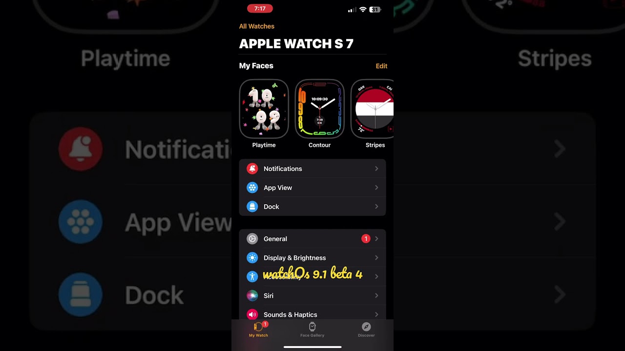Watch Os 9.1 Beta4
