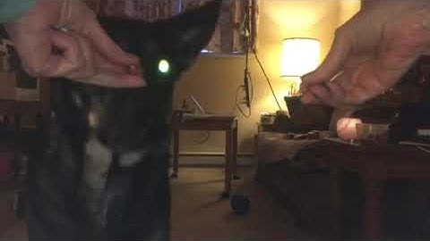 Tovah: delayed reinforcement