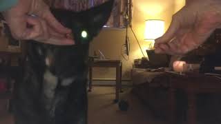 Tovah: delayed reinforcement
