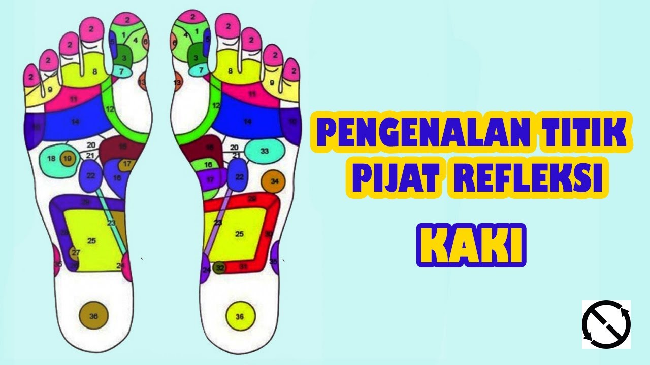 Pengenalan Titik Pijat Refleksi Kaki Youtube