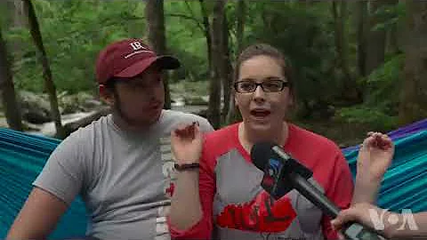 Synchronized Fireflies Light Up Mountain Skies