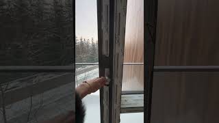 IMG 4251