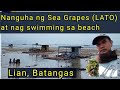 Matabungkay beach lian batangas  philippines