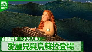 [Gekidan Shiki] "The Little Mermaid" Iconic Scenes Revealed! Ariel Flying in the Air and Ursula's...