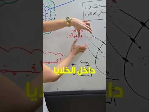 السنة 2 تأثير الأنسولين في دقيقة