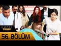 Kuzey Yıldızı İlk Aşk 56. Bölüm