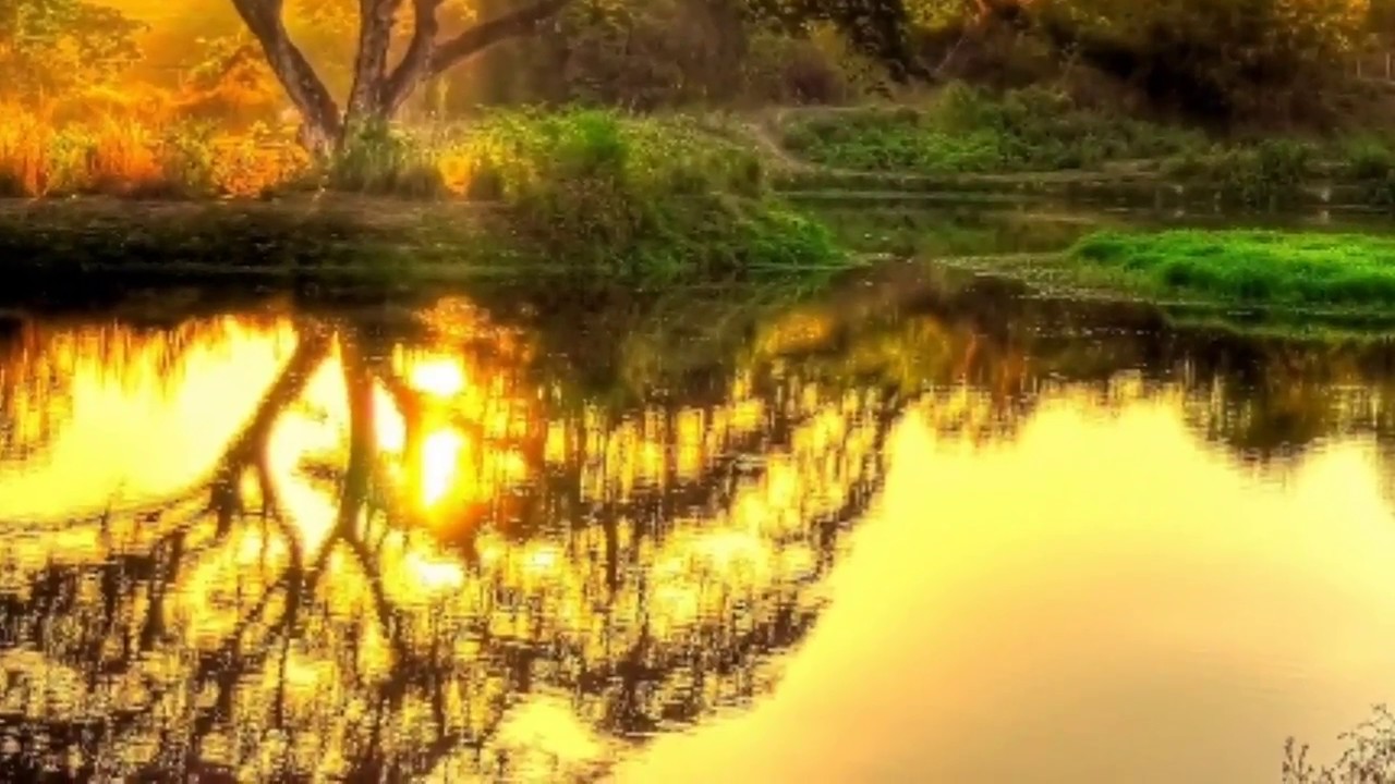 One Day You Will See Whatsapp Status Real Life Status YouTube