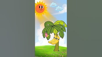 Did You Know? Why Are Bananas Curved?  | Episode 1 | Fun Facts for Kids | #didyouknow