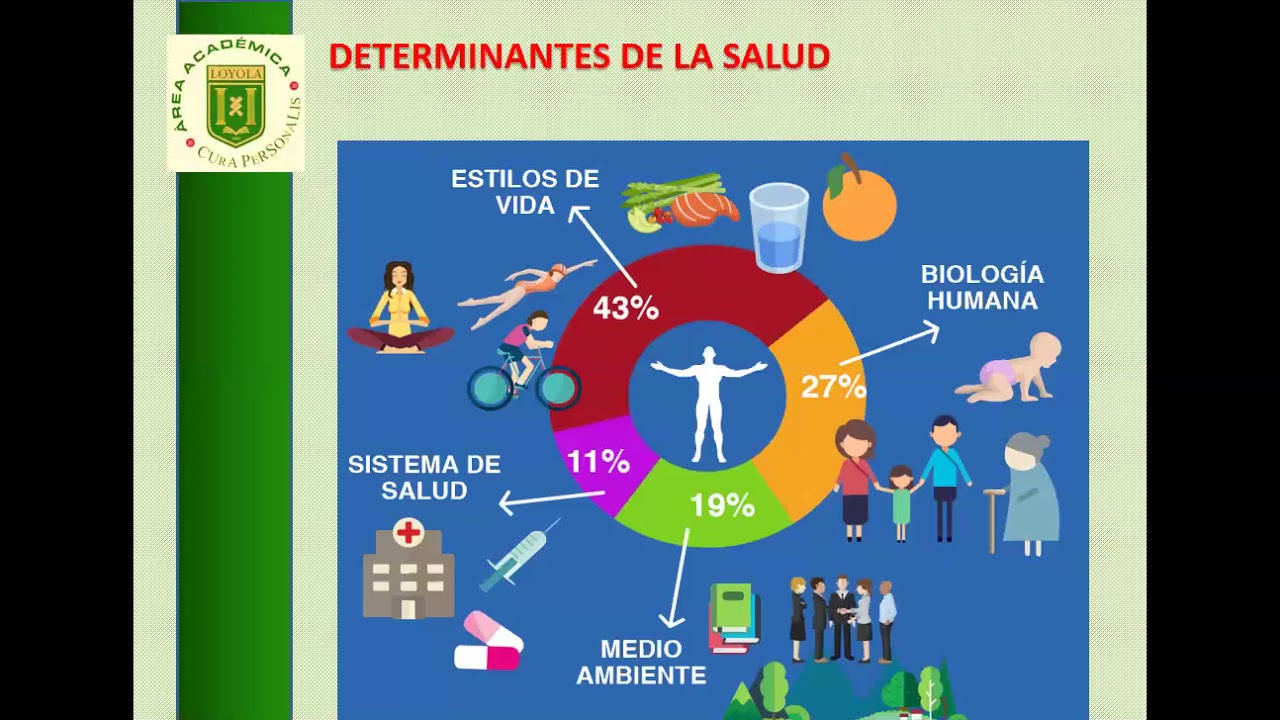 Determinantes De La Salud Youtube