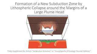 Formation of a New Subduction Zone by Lithospheric Collapse around the Margins of a Large Plume Head