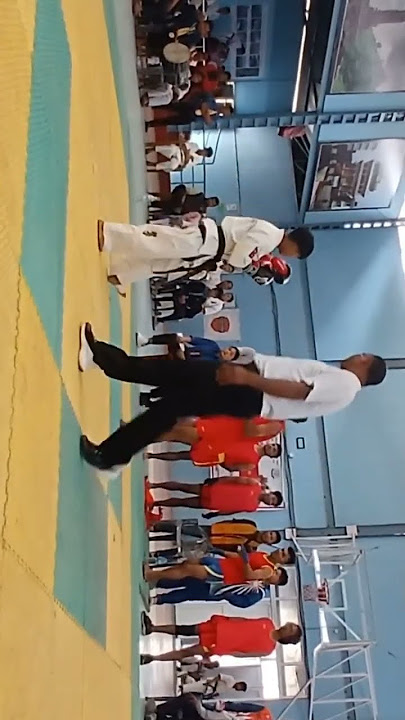 wushu vs kyokushin karate