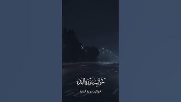 اكتب شيء تؤجر عليه ♥️ #اكسبلور #القرآن_الكريم #سورة_البقرة_بركة