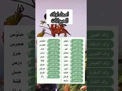 تعرف على أسماء اولاد الحيوانات