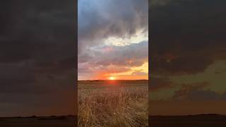 Colourful Sunset Hour In Halle Saale, Germany