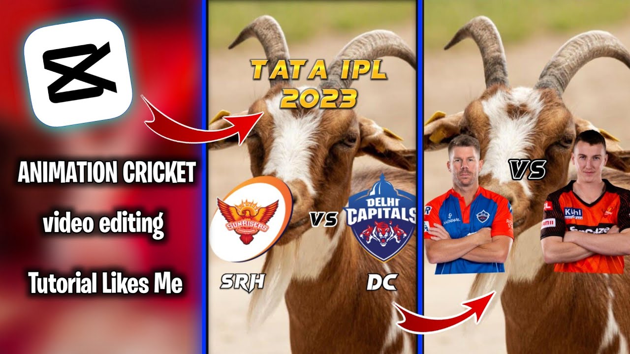 How To Make Cricket Animation Video Editing In Capcut App | 