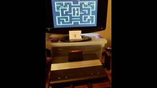Mouse Trap 2600 B/ novice 13289