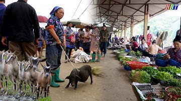 Verdwaald op de primitieve markt die alleen berggeiten, varkens, wilde buffels en unieke gerechte...