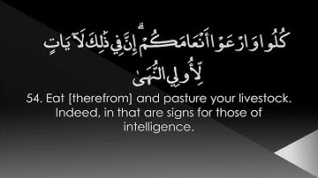 Surah Taha | AbdulMuhsin al Qasim سورة طه | عبد المحسن القاسم