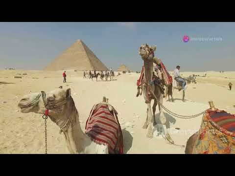 Top 20 Must-Visit