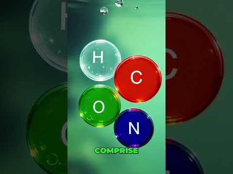 The Chemical Elements That Create Life 