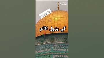 سوف نبقى هنا كي يزول الألم سوف نحيا هنا سوف يحلو النغم 