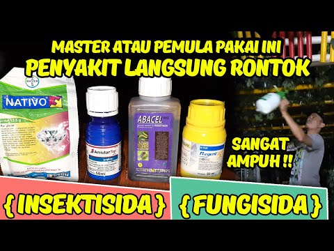 Video: Tembaga Sulfat Untuk Anggur: Diproses Di Musim Gugur, Musim Semi Dan Musim Panas. Bagaimana Cara Mencairkannya Untuk Penyemprotan Stek Dan Kebun Anggur? Proporsi