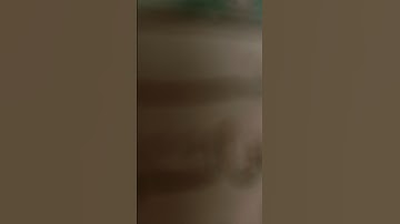 سورة الصف 💚💚✨✨