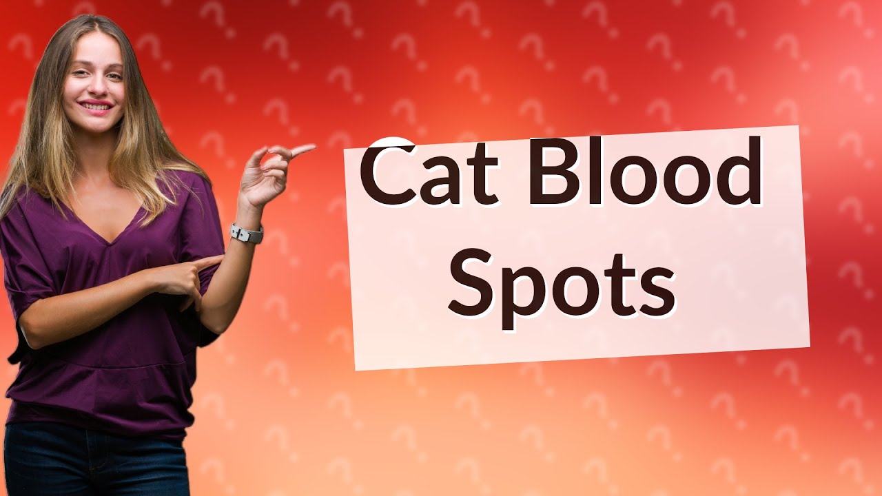 Why does my cat leave tiny blood spots in the sink? YouTube