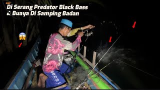 Download Lagu DI Serang Predator Black Bass \u0026 Buaya Di Samping Badan 😱. #fishing MP3 Download Lagu DI Serang Predator Black Bass \u0026 Buaya Di Samping Badan 😱. #fishing MP3