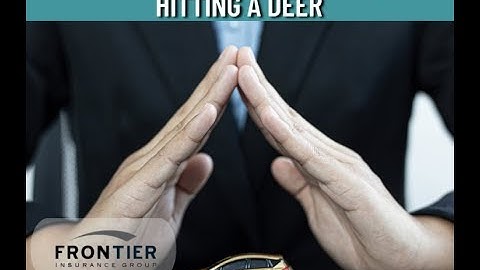 What auto insurance covers hitting a deer?