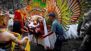 Pertunjukan seni tarian jaranan Sekar Sari dan barong spektakuler
