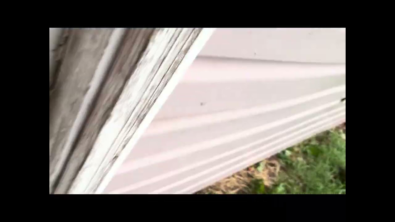 stuff that i just didn’t post from the june 29th storm in springfield, missouri