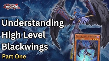 Blackwings begrijpen op een hoog niveau ft ProStorm (Deel één) | Yugioh Edison-formaat