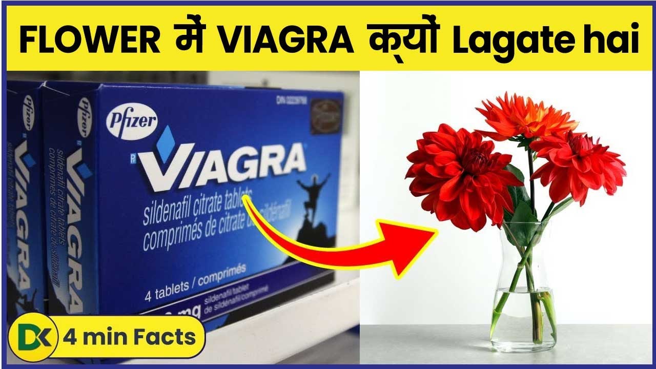 Viagra Ko Flowers Me Kyu Use Karte Hai Amazing Facts Hindi Facts Fun Fact In Hindi Youtube