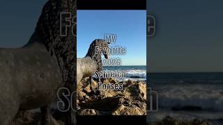 Which one is your favorite? 😍 #schleich #schleichhorses #viral #viralshorts #horse