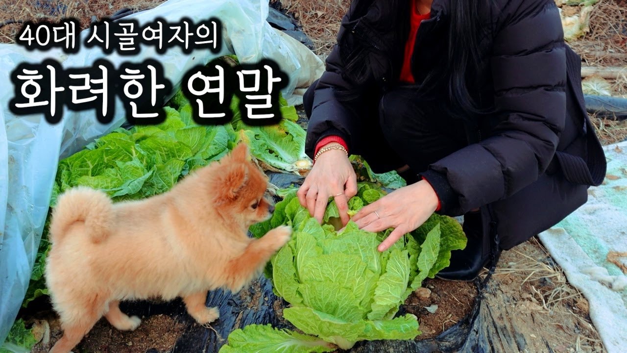 40대 시골 여자의 연말ㅣ외로운 시골에 산타가 내려왔어요~ㅣ간장게장 혼술,대게 혼술🎵 크리스마스에~는 닭~발을~~🎵