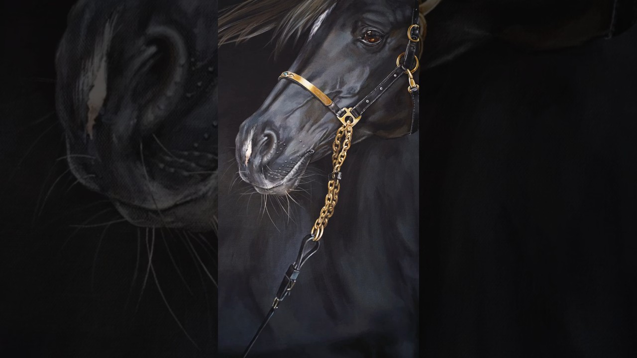 #horseportrait