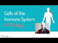 Lasseter ap biology 27 cells of the immune system