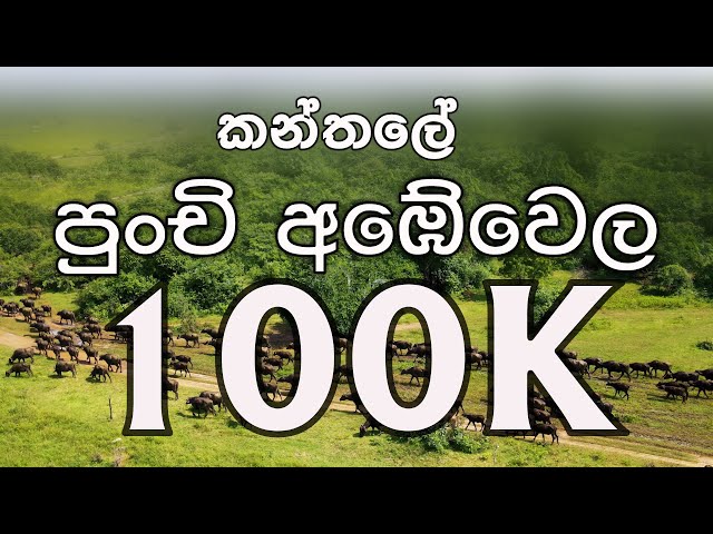 The Farm House Kanthale | කන්තලේ පුංචි අඹේවෙල