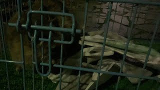無事保護できました。