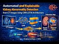 Automated and Explainable Kidney Abnormality Detection from CT Images Using CNN LSTM Architecture