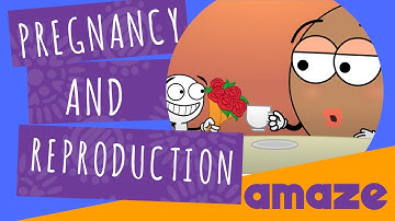 Pregnancy & Reproduction Explained